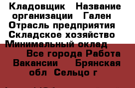 Кладовщик › Название организации ­ Гален › Отрасль предприятия ­ Складское хозяйство › Минимальный оклад ­ 20 000 - Все города Работа » Вакансии   . Брянская обл.,Сельцо г.